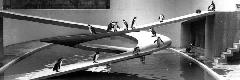 Gregor M. Wildermann banner