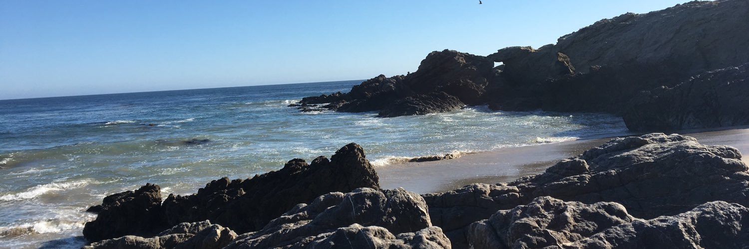joyceinLA's profile banner image