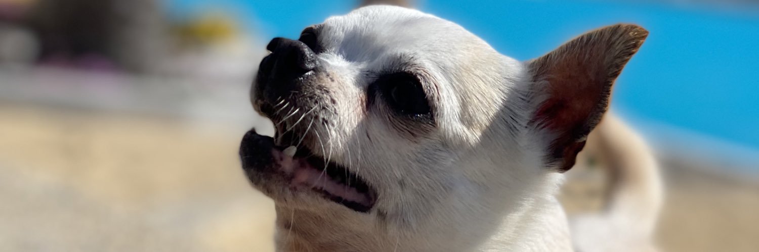 RxulFelx's profile banner image