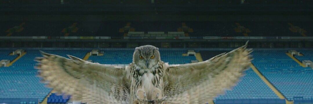 gallagherswfc's profile banner image