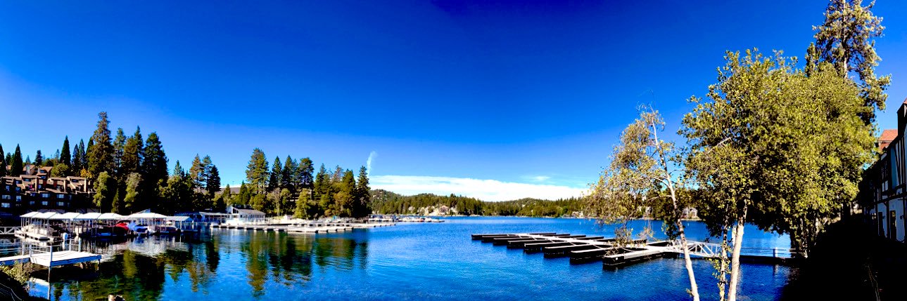 Elizabeth Marrero banner