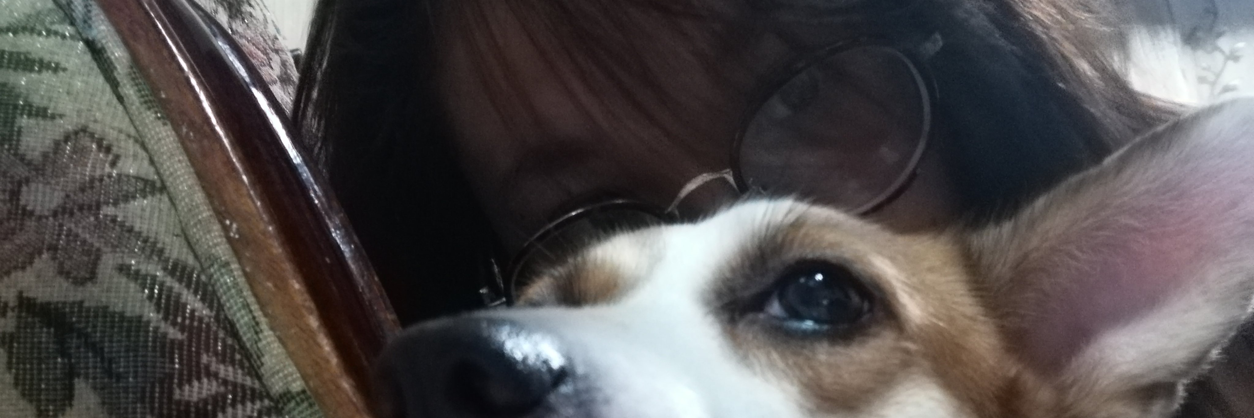 itsyennn's profile banner image