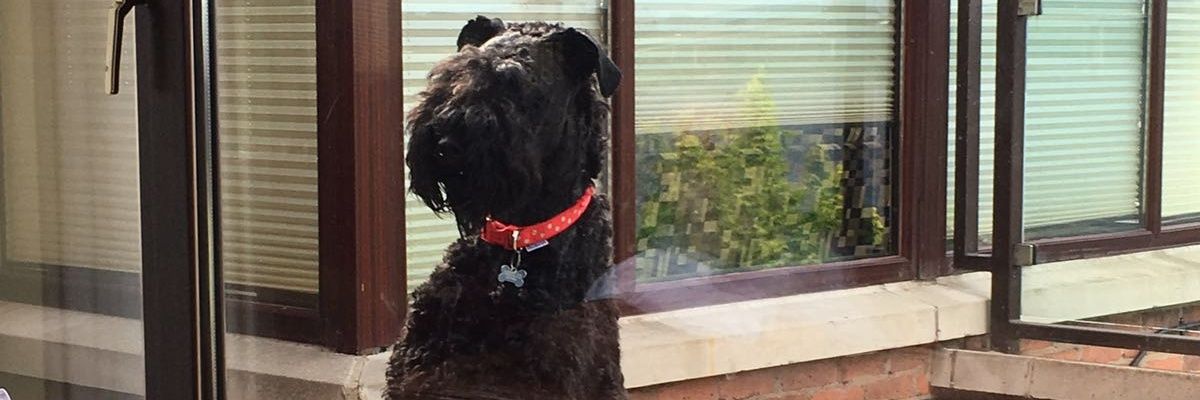 HannahGee5's profile banner image