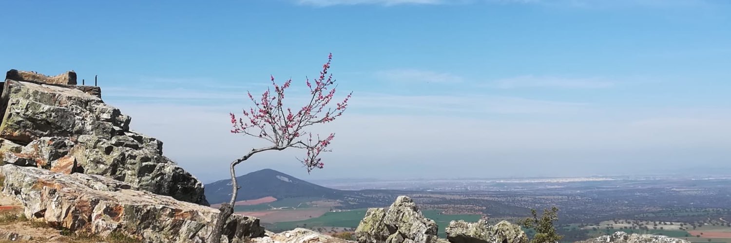 marmerchi's profile banner image