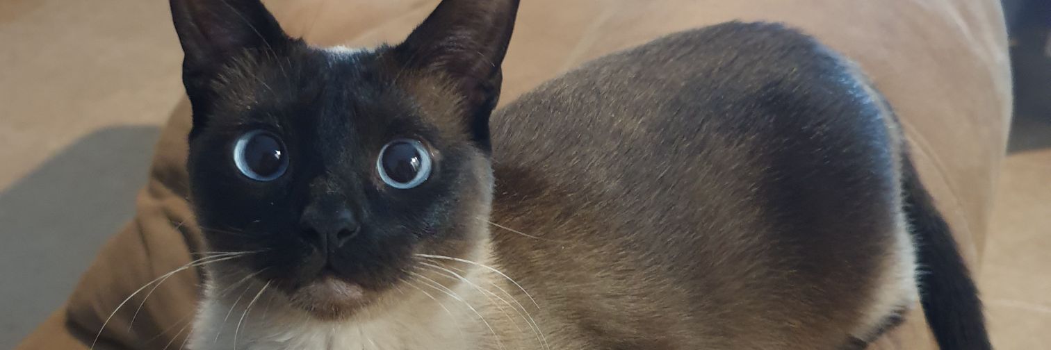 MigRicky's profile banner image