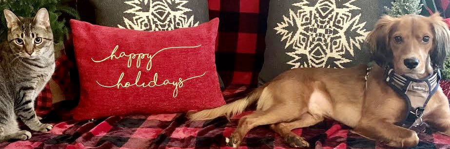chloeekatt's profile banner image