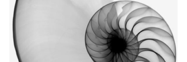 zack_hill's profile banner image