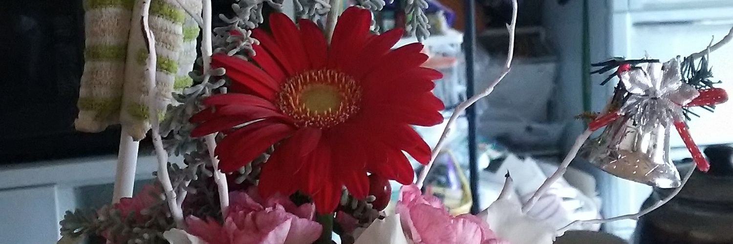 mikanee_t's profile banner image