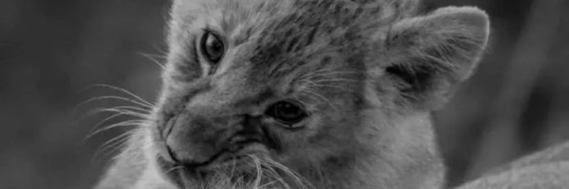 JennyDicksone's profile banner image