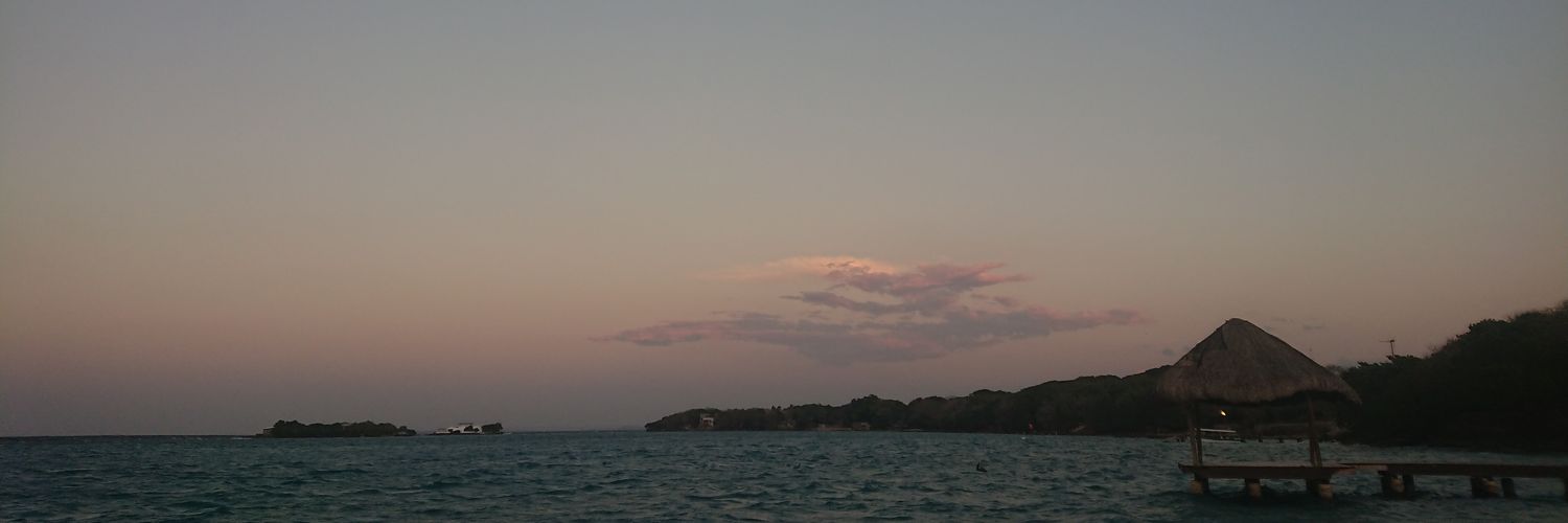 manurodj's profile banner image