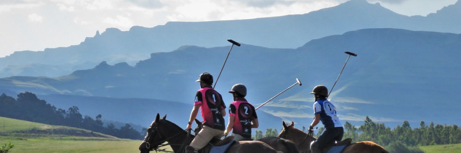 absolutepolo's profile banner image
