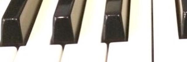 S Dot  (Dot N Pro) banner