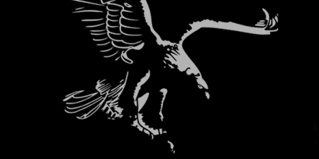 __kimya__'s profile banner image