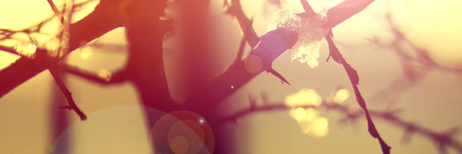_andreafigueroa's profile banner image
