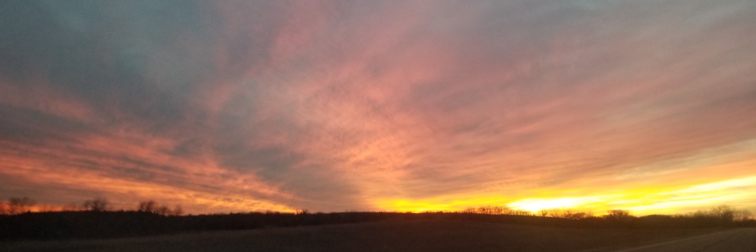 Candice Stevens banner