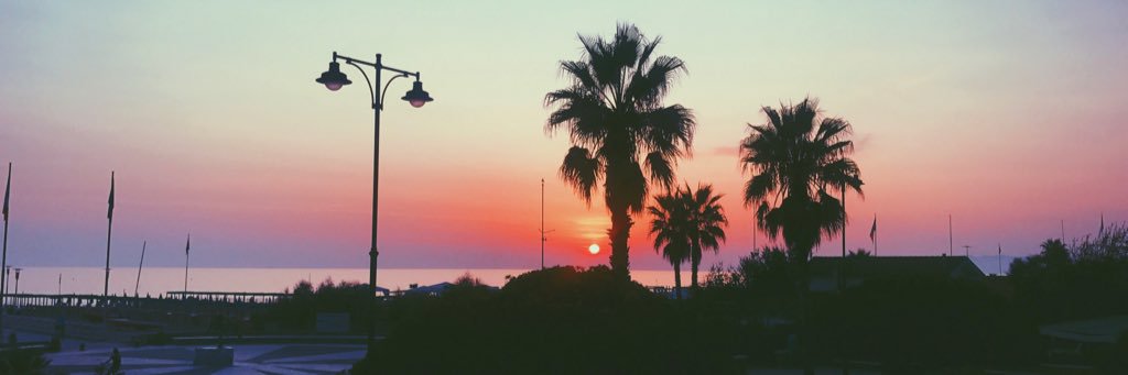 CariniCostanza's profile banner image