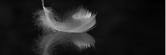 clairee_c85's profile banner image