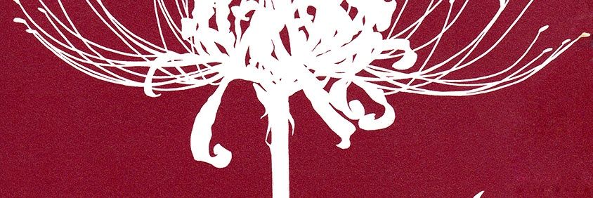 EliMonster93's profile banner image