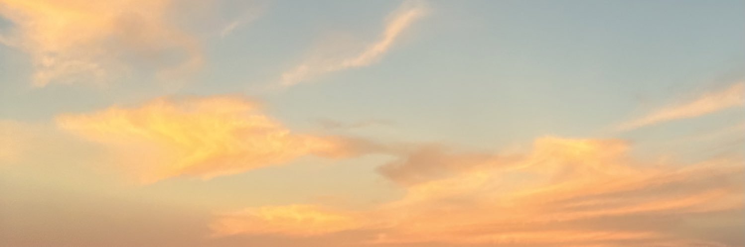 sofia_osio's profile banner image
