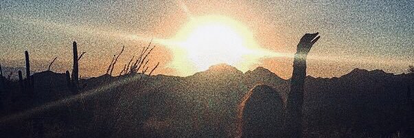 MaddyDeVuono's profile banner image