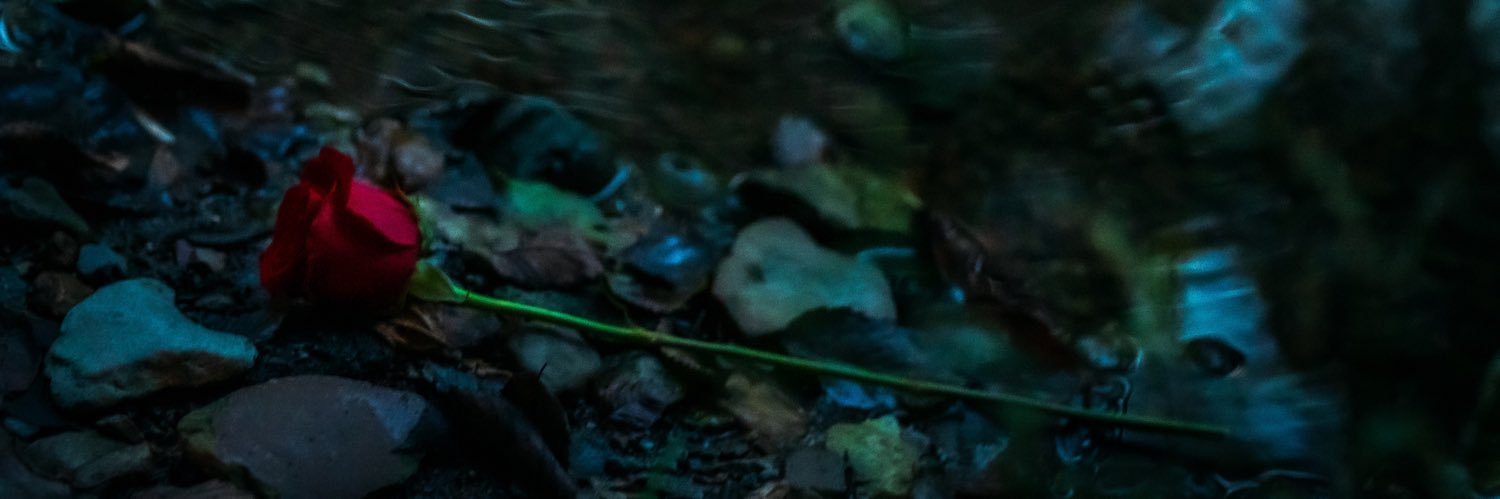 tifffrye's profile banner image