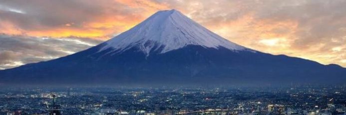 日本株式投資の騎士 banner