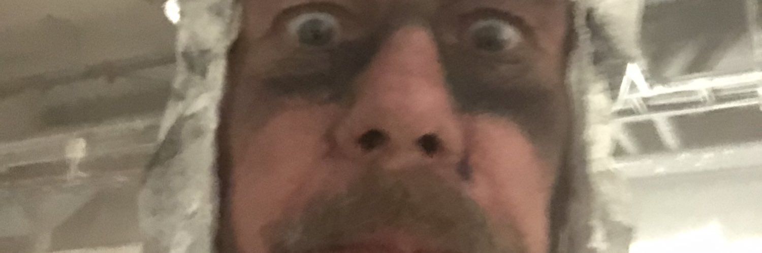 HansPEngborg's profile banner image