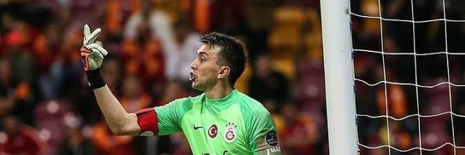 Erim Leblebicioglu banner