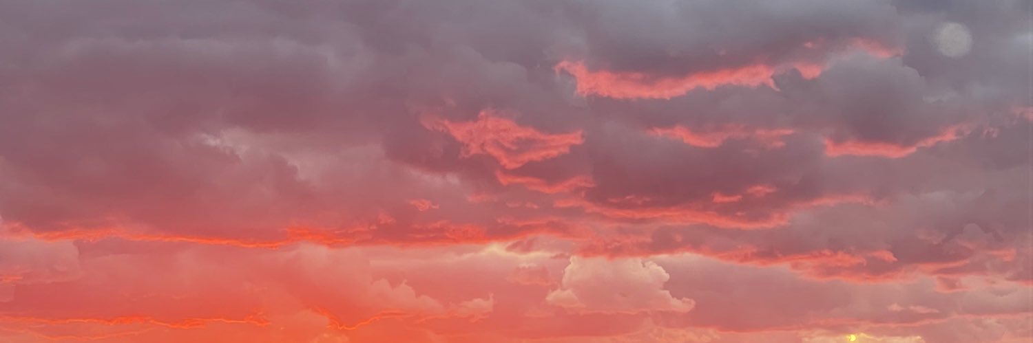 AmyMc's profile banner image