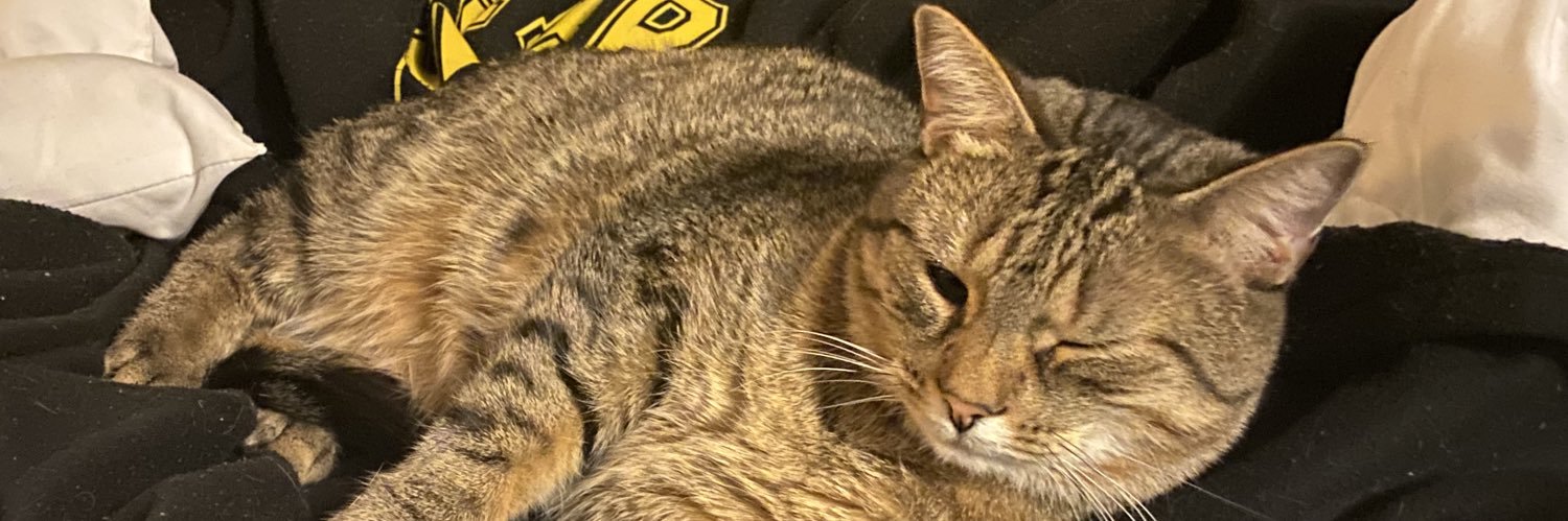 RyeBundy's profile banner image