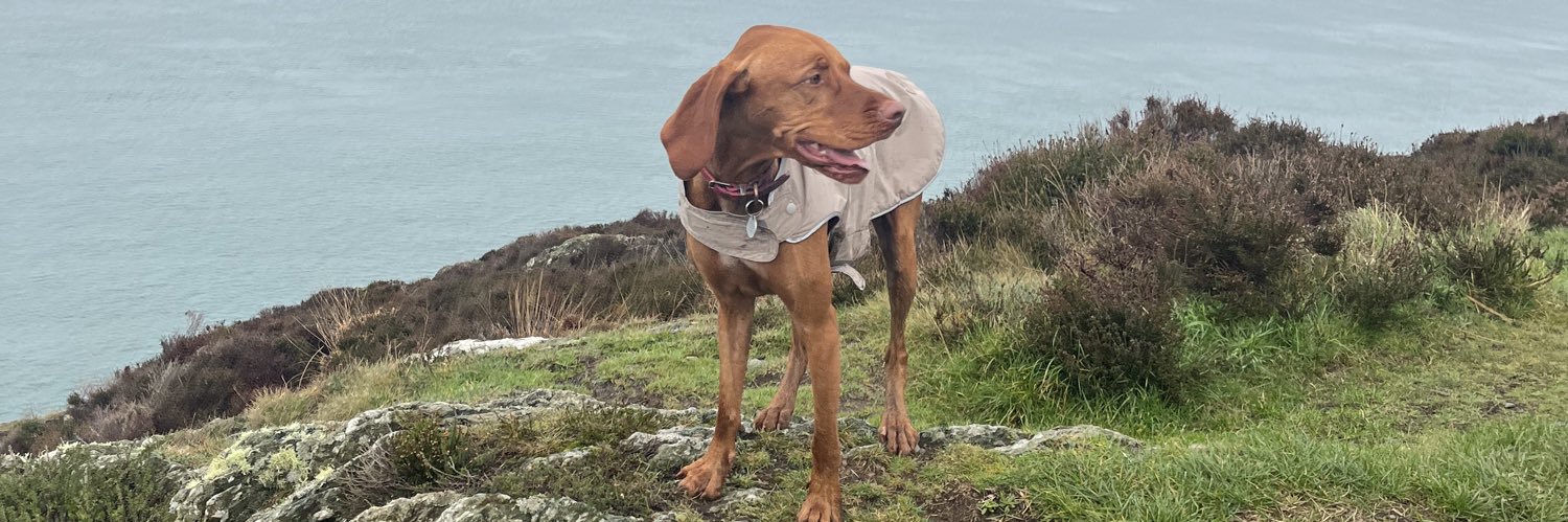 AliceSofield's profile banner image