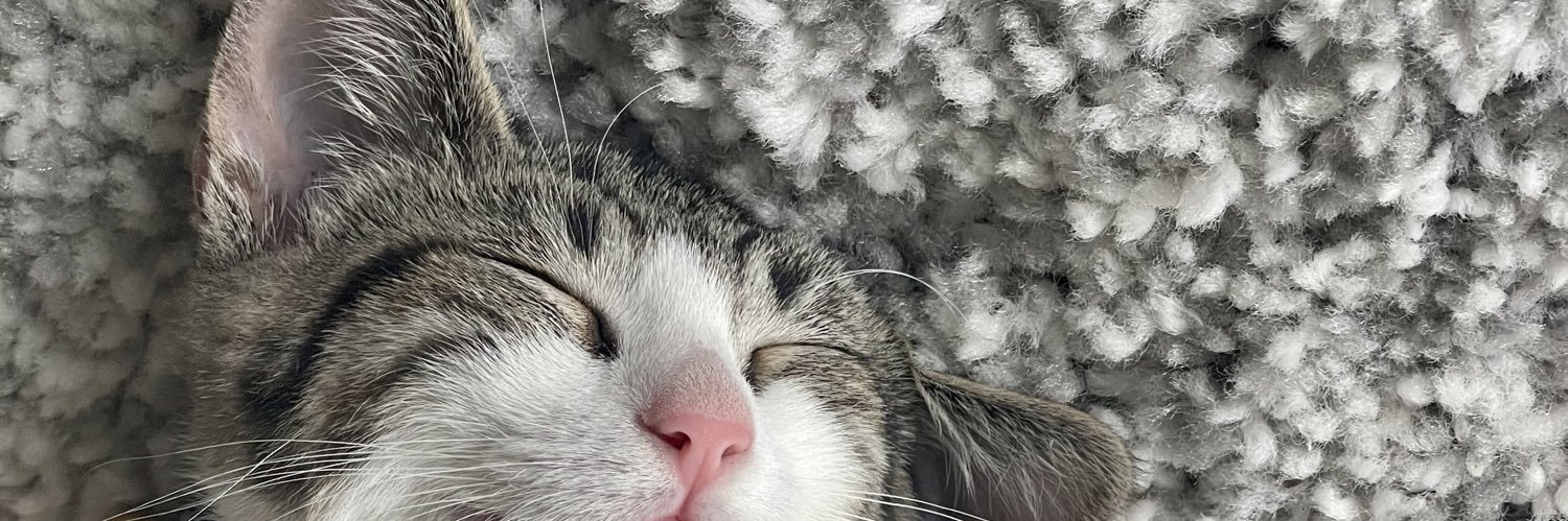 omniFara's profile banner image