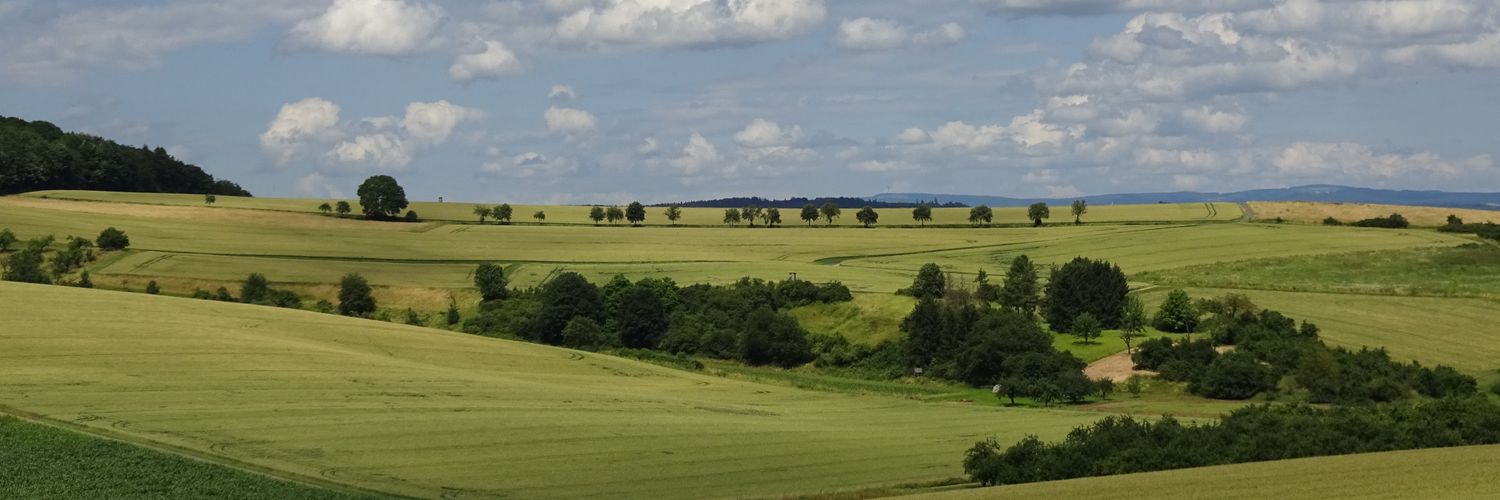 ThomasHaussmann's profile banner image