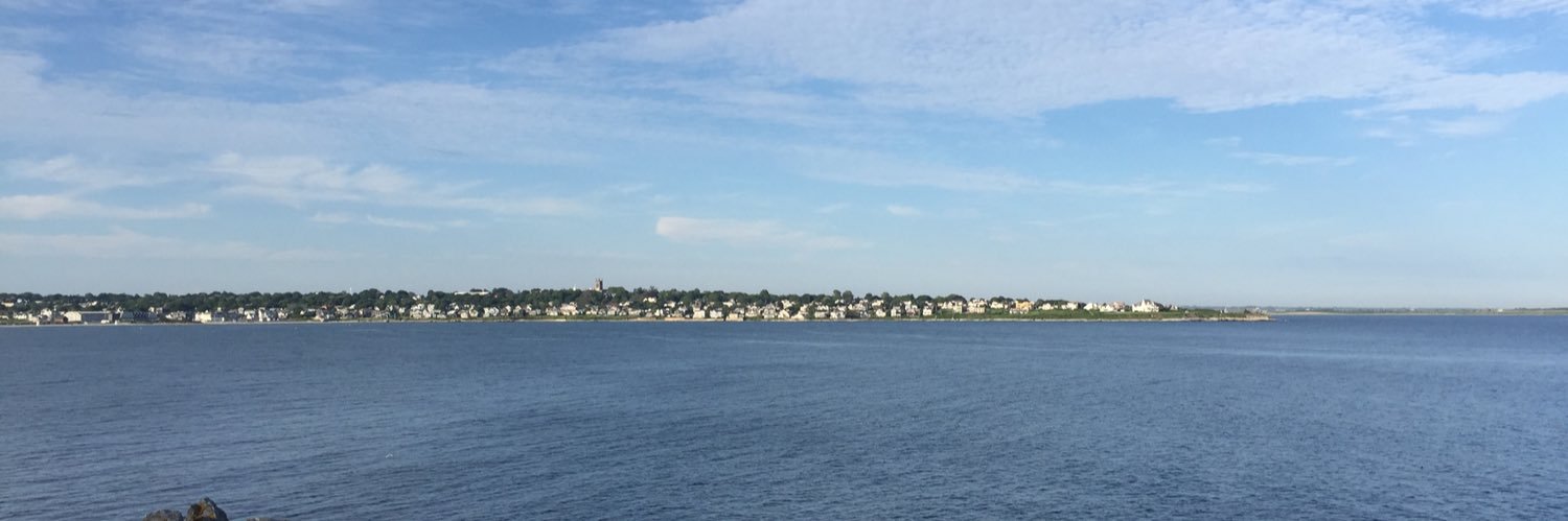 SueMoenius's profile banner image
