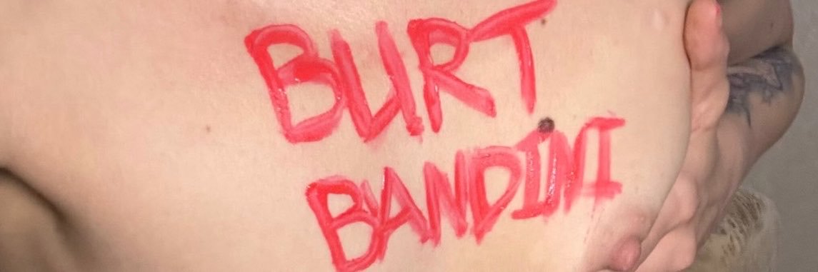 burtbandini's profile banner image