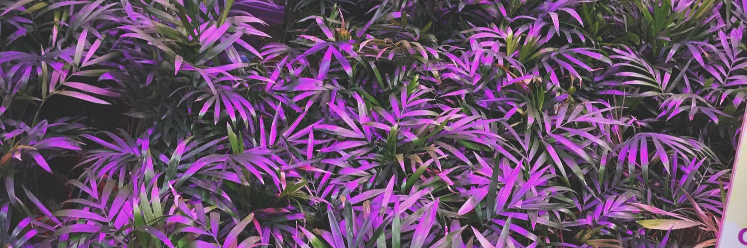 YAzaliya's profile banner image