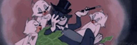 Hustlenp's profile banner image