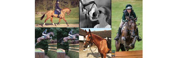 susielberry Profile Banner