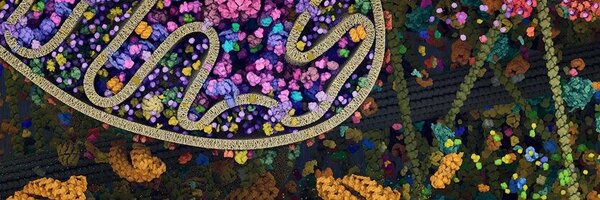 LeonidaMonaco Profile Banner