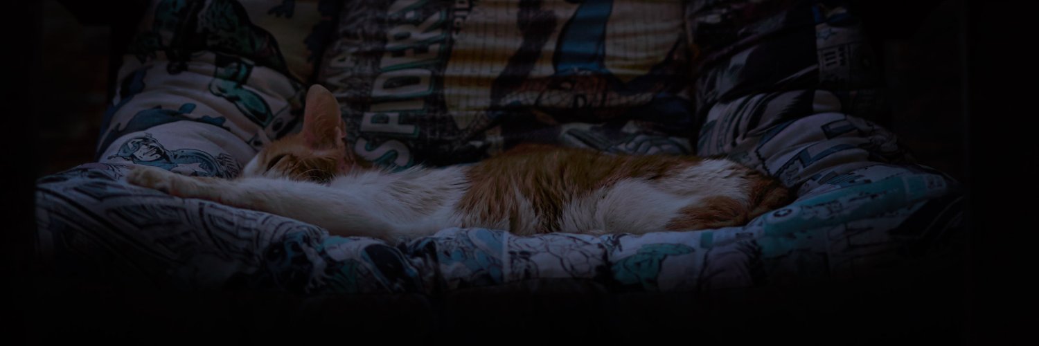 AgustinPanollo's profile banner image