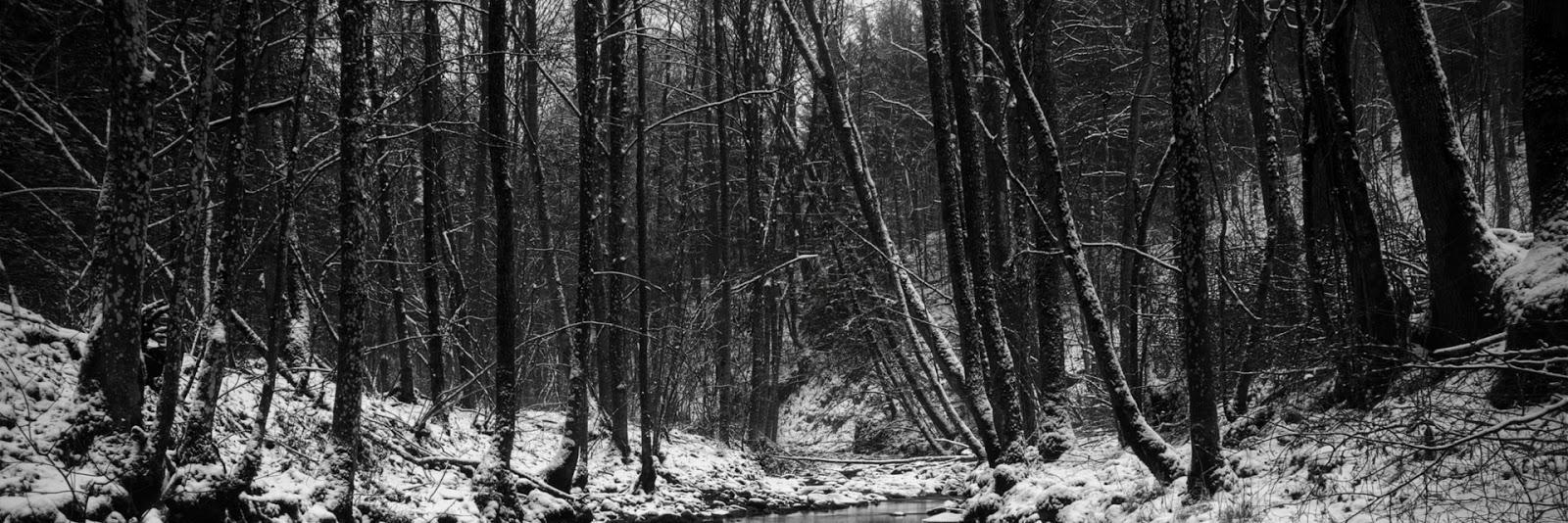 helennadja's profile banner image