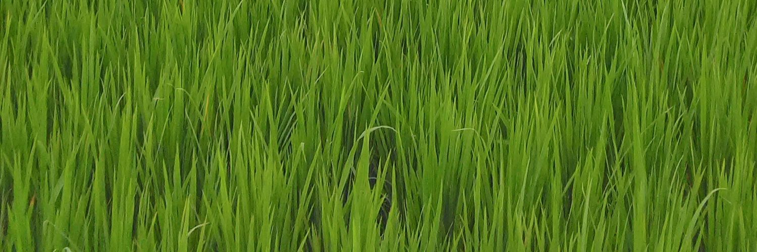 Govirasan's profile banner image