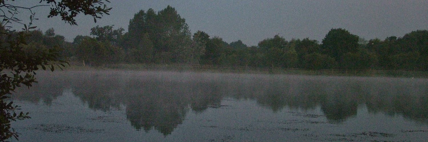 poulson1's profile banner image