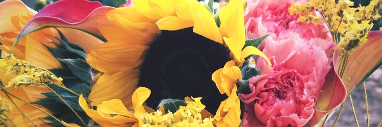 ashtonmdowns's profile banner image