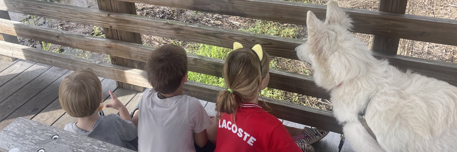 Tatiana Golovin banner