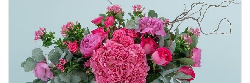 funmi_ologe's profile banner image
