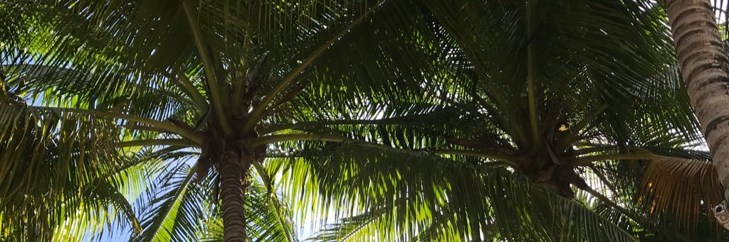 HannahArnold8's profile banner image
