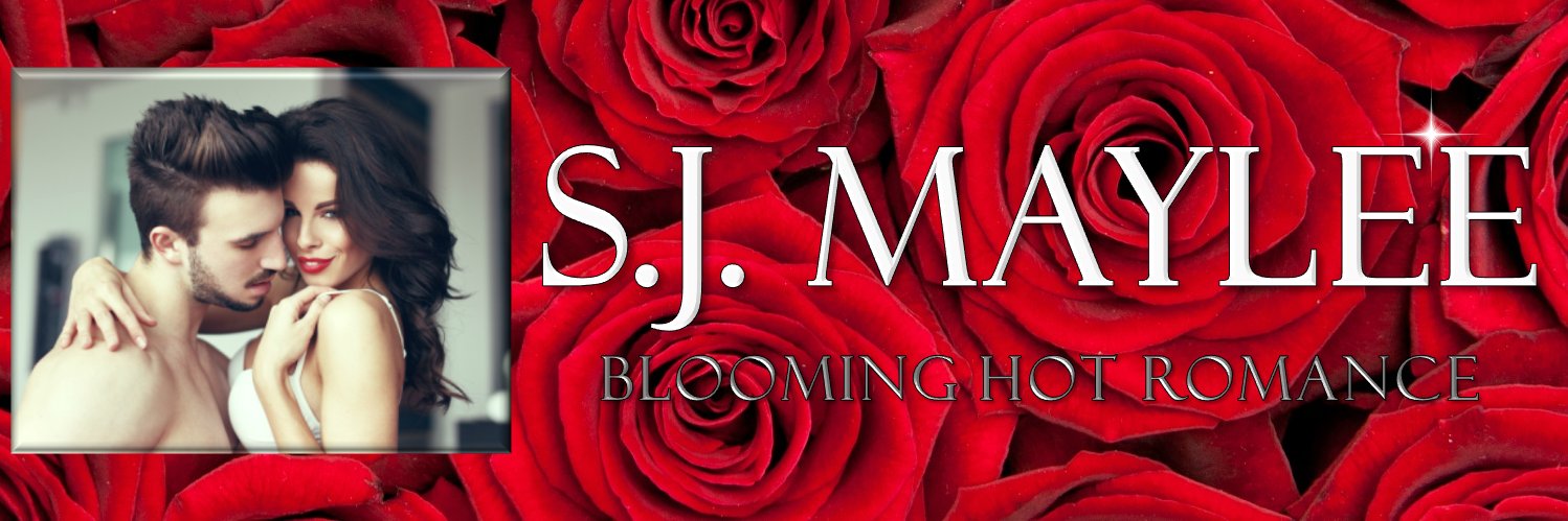 SJMaylee's profile banner image