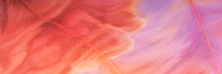 solbrandoni_'s profile banner image