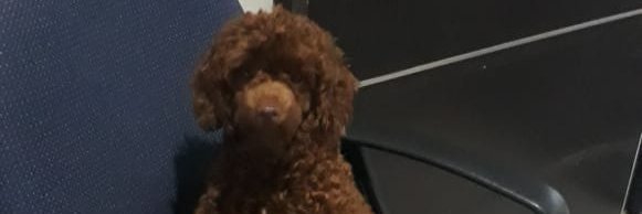 desratobing's profile banner image